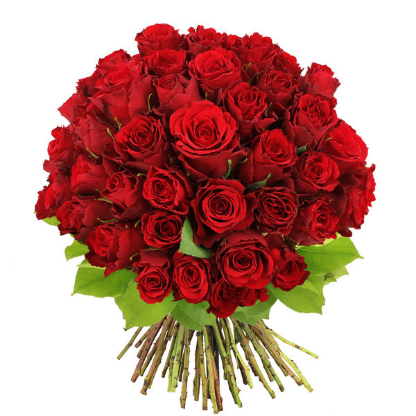 Bouquet de roses BOUQUET DE 60 ROSES ROUGES