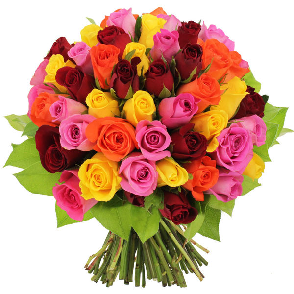 Bouquet de roses BOUQUET DE 50 ROSES MULTICOLORES