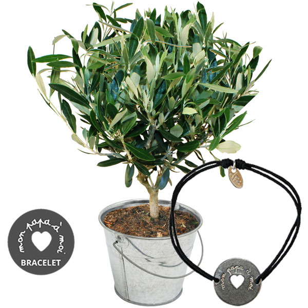 Cadeaux insolites OLIVIER + BRACELET PAPA