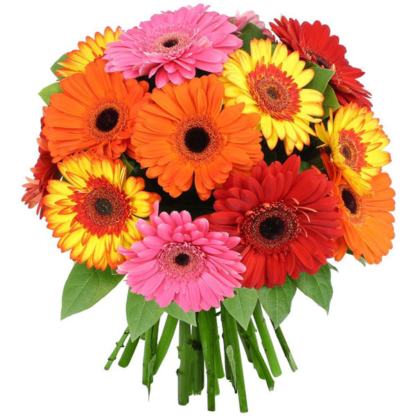 Bouquets composé COLOR