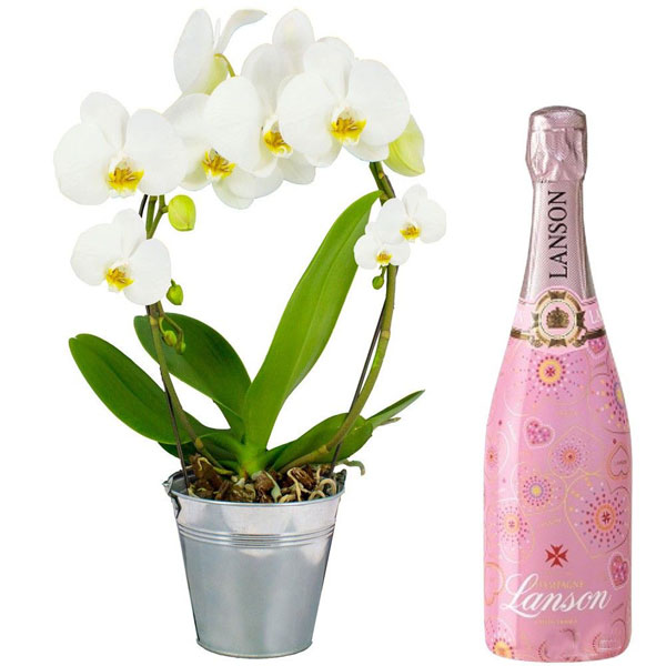 Cadeaux Gourmands ORCHIDEE ANSE BLANCHE + CHAMPAGNE ROSE