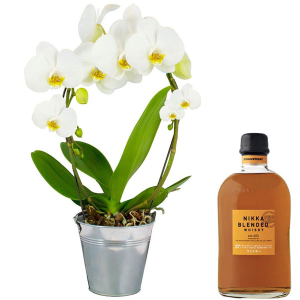 Cadeaux Gourmands ORCHIDEE ANSE BLANCHE + WHISKY