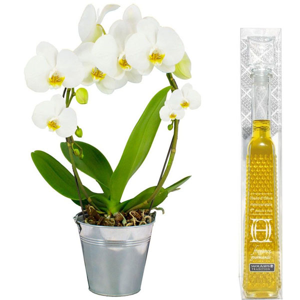 Cadeaux Gourmands ORCHIDEE ANSE BLANCHE + HUILE D'OLIVE