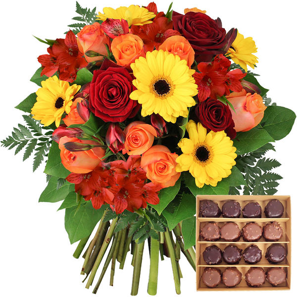 Fleurs et cadeaux COCCINELLE + CHOCOLATS