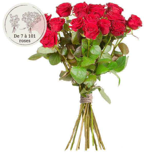 Bouquet de roses 14 GRANDES ROSES ROUGES