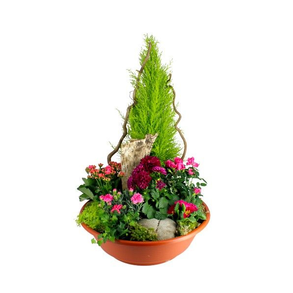Plantes Deuil COMPOSITION ETERNITE