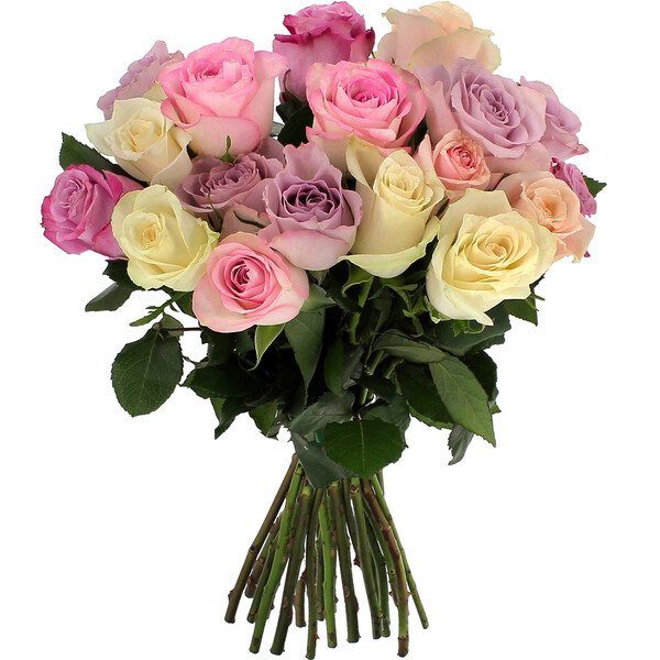Bouquet de roses 20 ROSES PASTEL