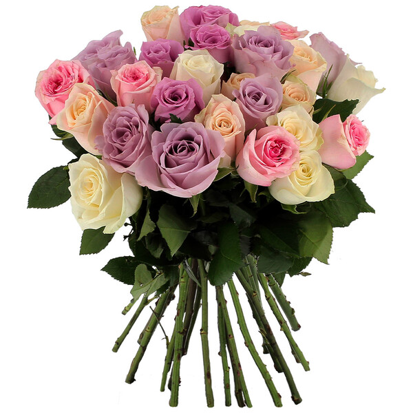 Bouquet de roses 30 ROSES PASTEL