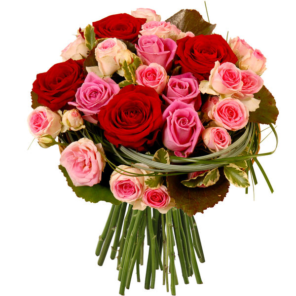 Bouquet de roses EDEN ROSE
