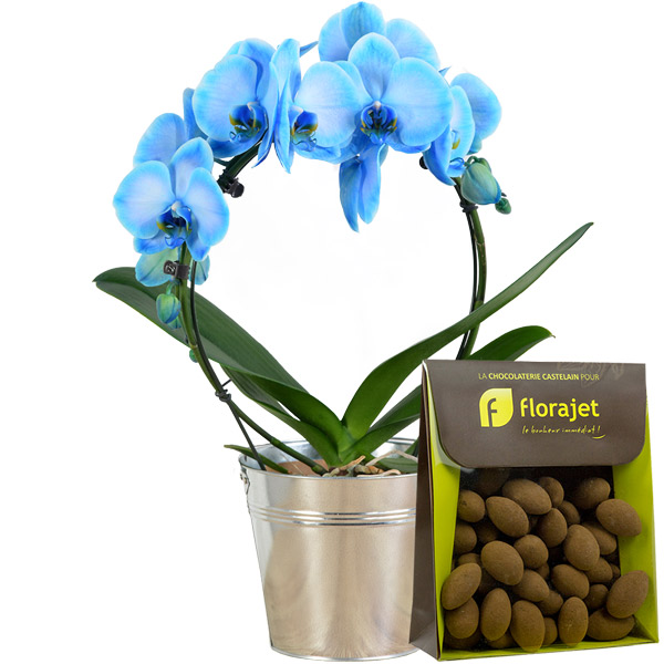 Cadeaux Gourmands ORCHIDEE BLEUE + AMANDES CACAOTEES