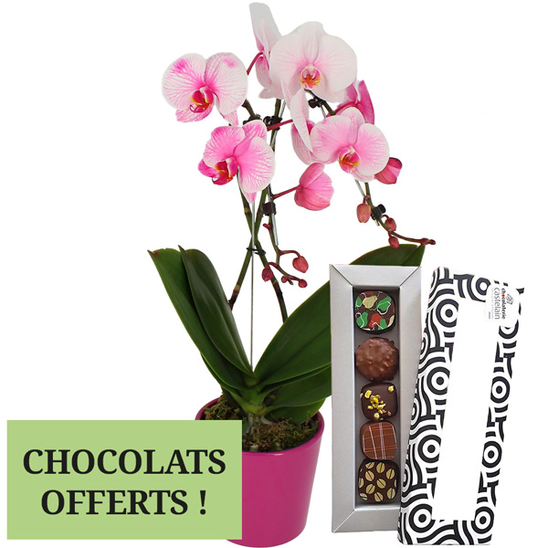 Cadeaux Gourmands ORCHIDEE ROSE 2 BRANCHES + 5 CHOCOLATS