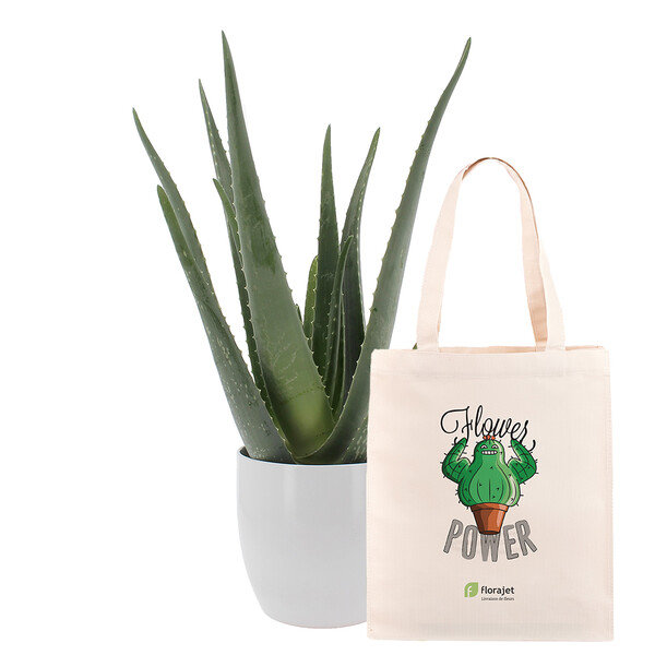 Cadeaux insolites ALOE VERA + POT + TOTE BAG