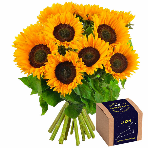 Cadeaux insolites BOUQUET DE 10 TOURNESOLS + KIT LION