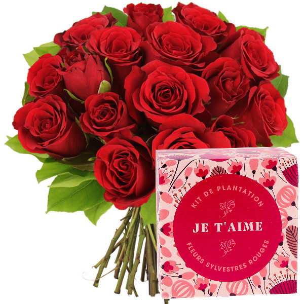 Fleurs et cadeaux 15 ROSES ROUGES + KIT JE T'AIME