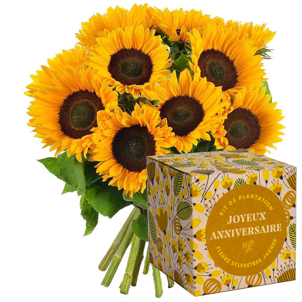 Cadeaux insolites 10 TOURNESOLS + KIT JOYEUX ANNIVERSAIRE