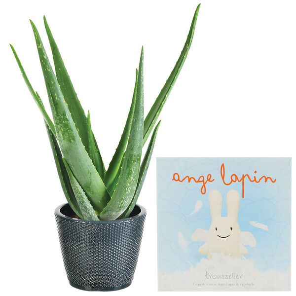 Cadeaux Naissance ALOE VERA + COFFRET TROUSSELIER