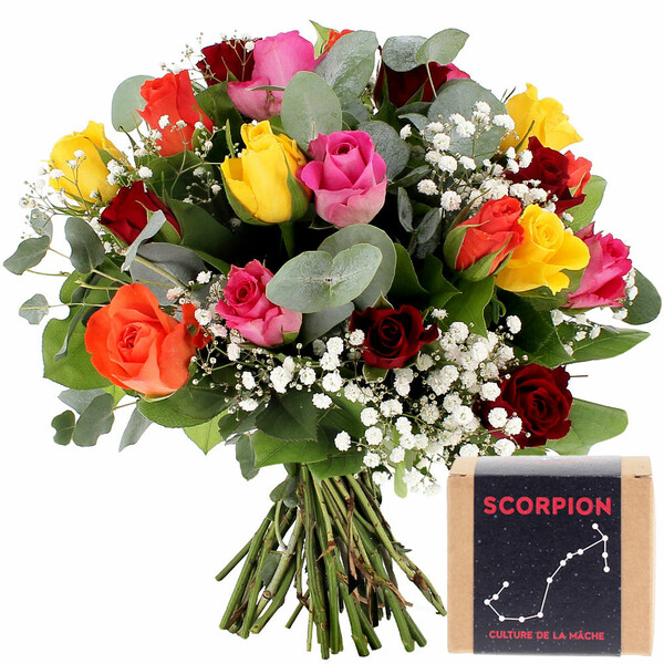 Fleurs et cadeaux 20 ROSES MULTICOLORES + GYPSOPHILE + KIT SCORPION