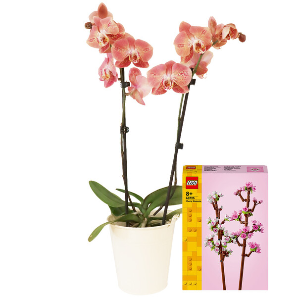 Fleurs éternelles ORCHIDEE 2 BRANCHES+ LEGO® - LES FLEURS DE CERISIE