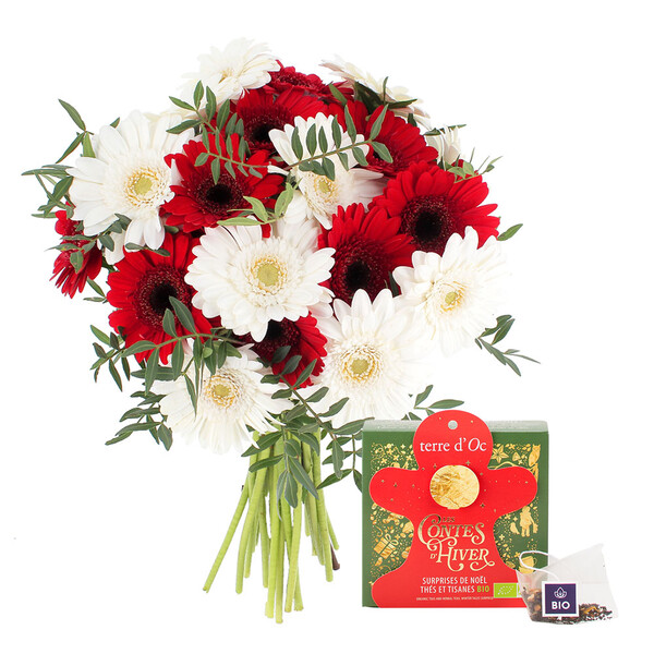 Fleurs et cadeaux BOUQUET DE 20 GERMINIS ROUGE ET BLANC+ THÉ DE NOËL