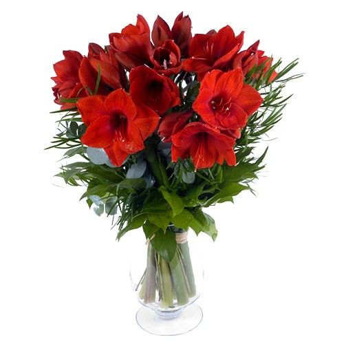 Bouquets composé Reine