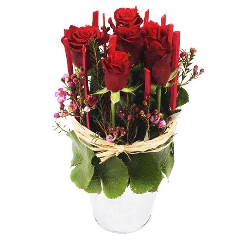 Bouquet de roses 