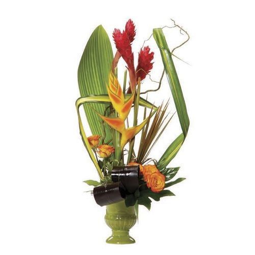 Bons plans EXOTIC
