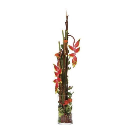 Bons plans FLORA