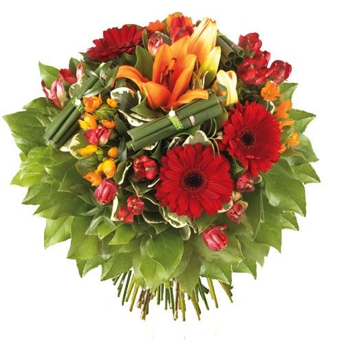 Bouquets composé OCCITANE