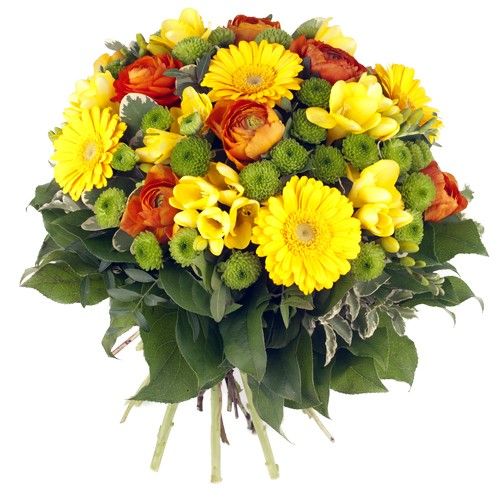 Bouquets composé SALSA