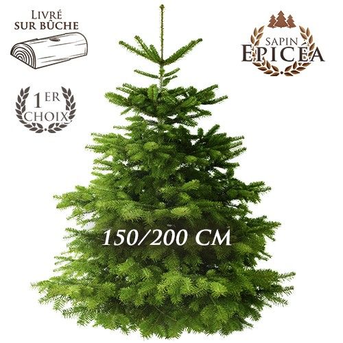 Sapin Epicea SAPIN EPICEA 150/200 CM